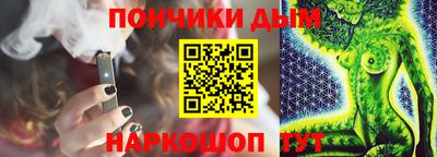 шишки Обь