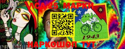 шишки Обь